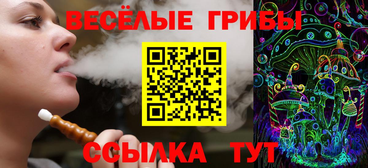 Галлюциногенные грибы прущие грибы Вышний Волочёк