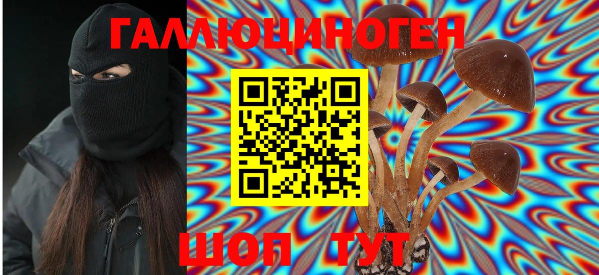 Галлюциногенные грибы Magic Shrooms  Псилоцибиновые грибы GOLDEN TEACHER  Вышний Волочёк 