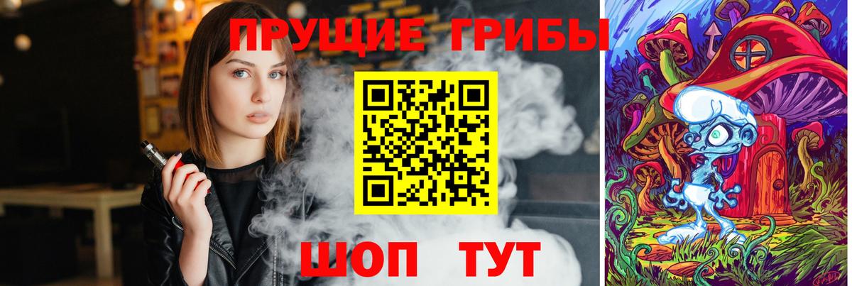 Вышний Волочёк  Галлюциногенные грибы Psilocybe  Вход с VPN  Галлюциногенные грибы мицелий 